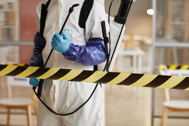Professional Hoarding Cleanup technician working in Morro Bay, CA